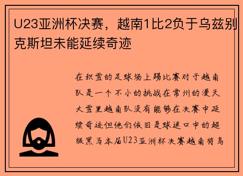 U23亚洲杯决赛，越南1比2负于乌兹别克斯坦未能延续奇迹