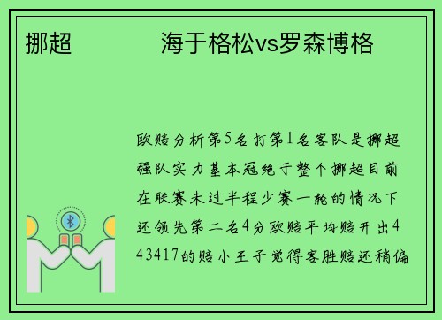 挪超           海于格松vs罗森博格